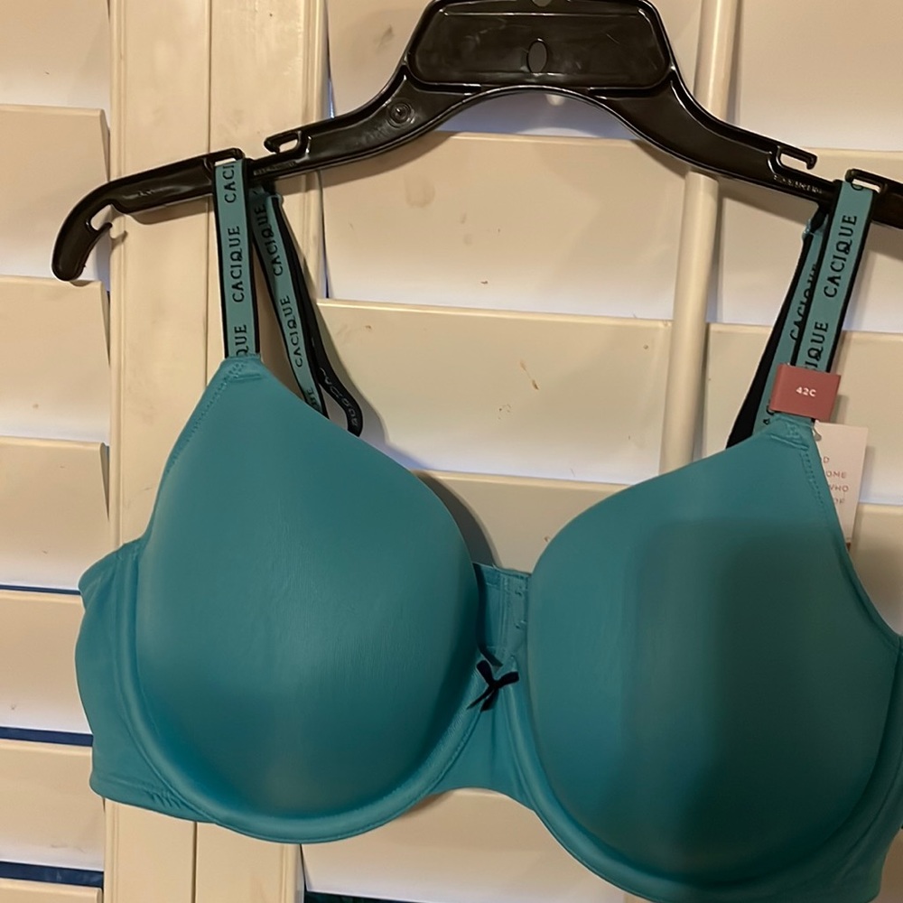 Lane Bryant CACIQUE lightly lined t-shirt bra.  Size 42C